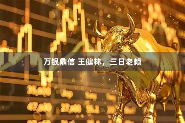 万银鼎信 王健林,三日老赖